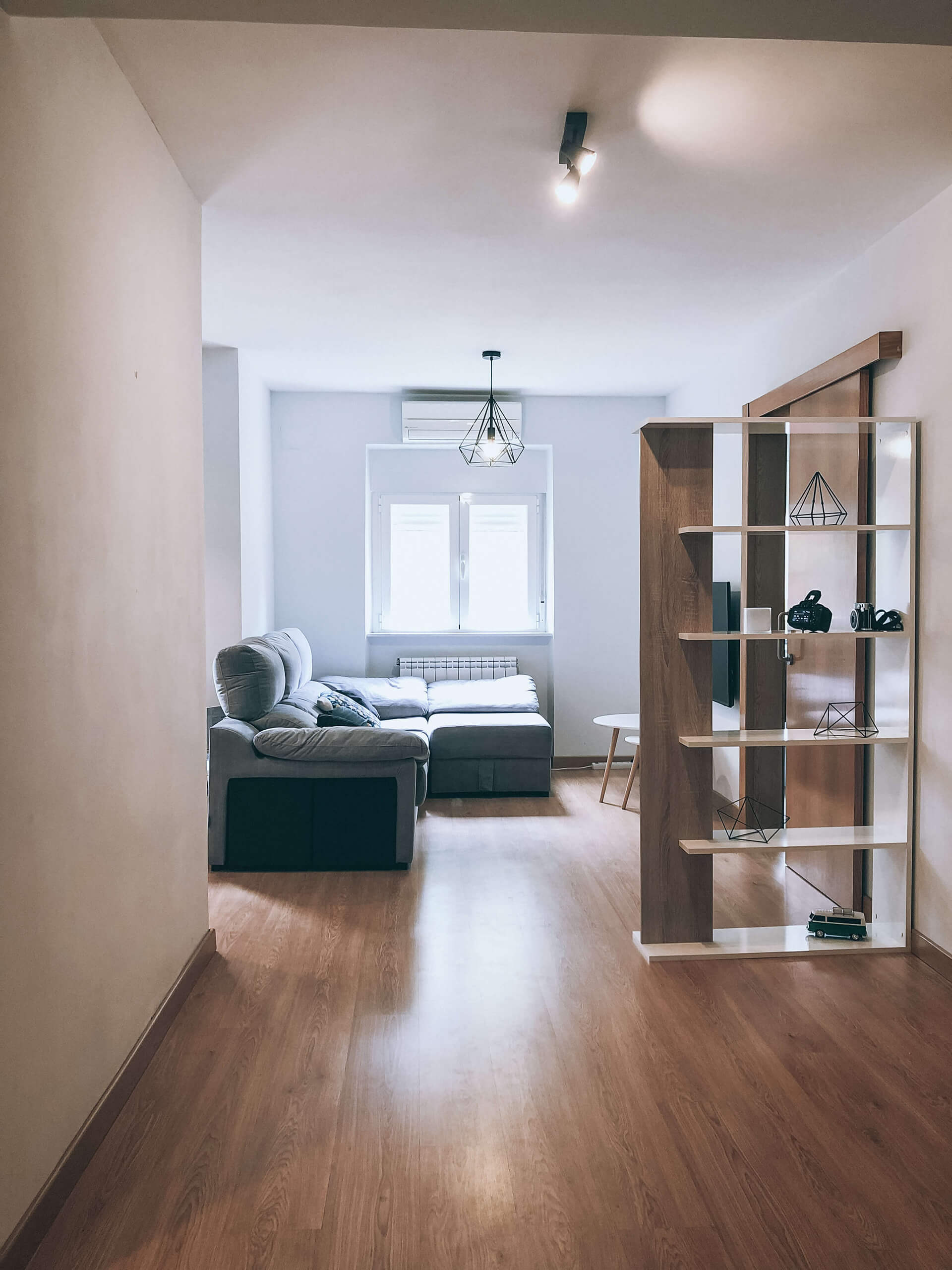Salón desde el pasillo / Living room from hallway