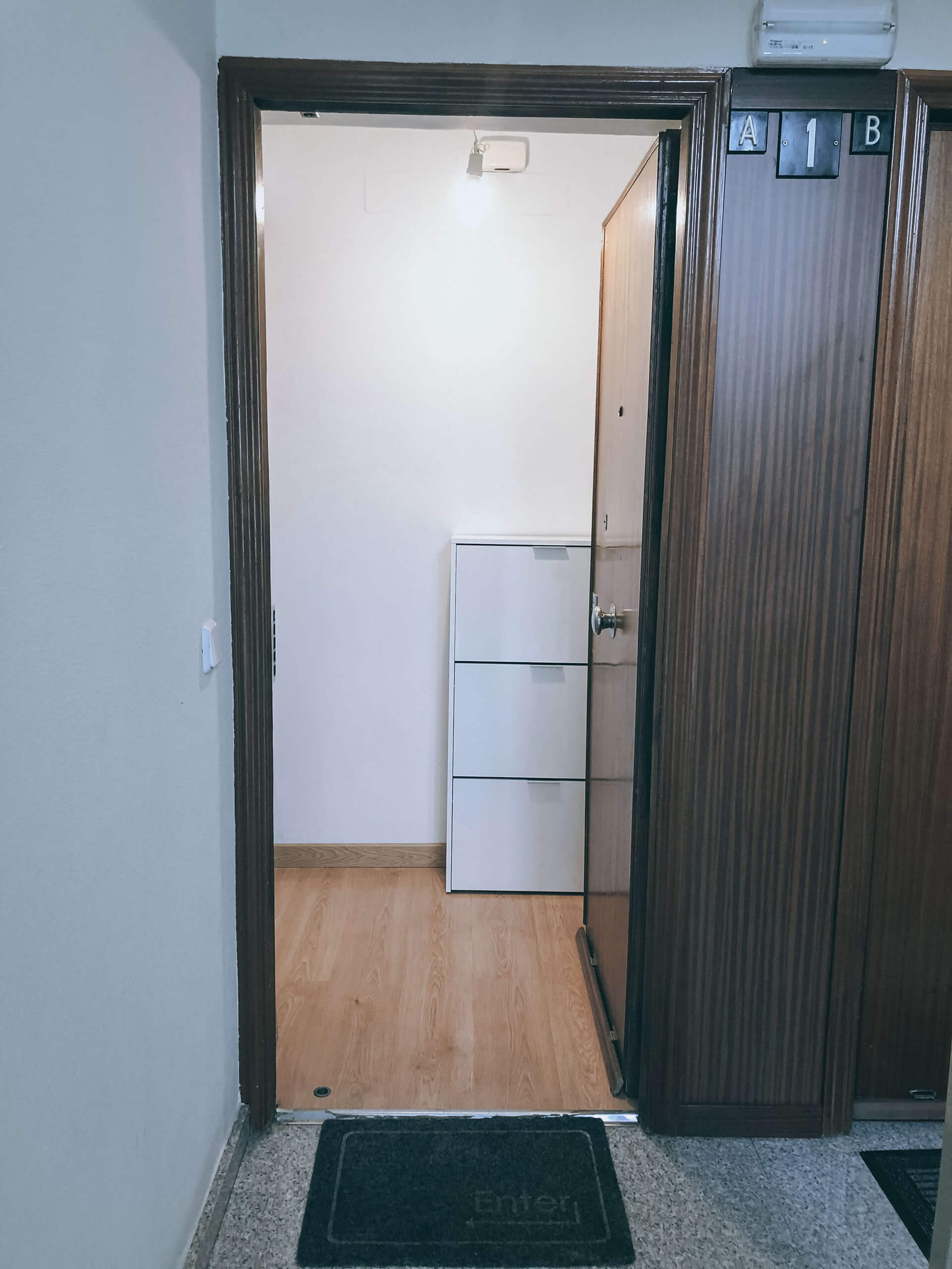 Entrada / Front door